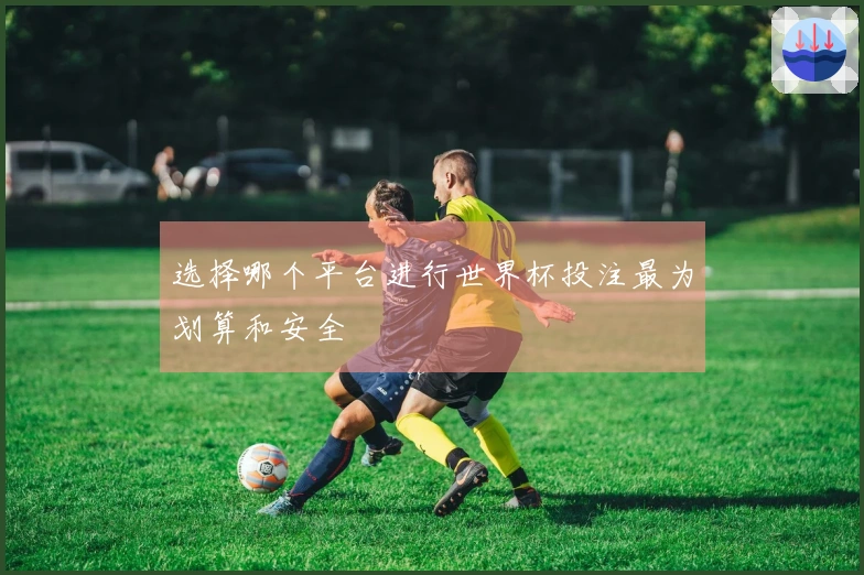 选择哪个平台进行世界杯投注最为划算和安全