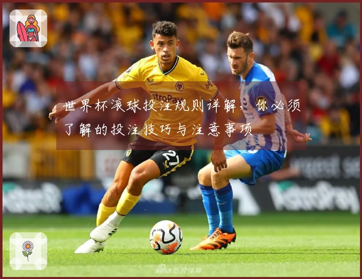 世界杯滚球投注规则详解，你必须了解的投注技巧与注意事项