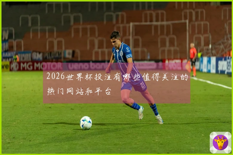 2026世界杯投注有哪些值得关注的热门网站和平台