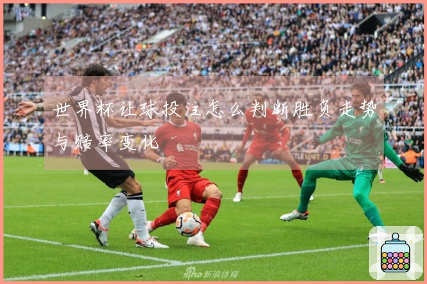 世界杯让球投注怎么判断胜负走势与赔率变化