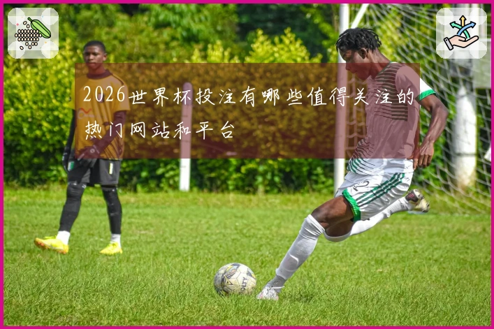 2026世界杯投注有哪些值得关注的热门网站和平台