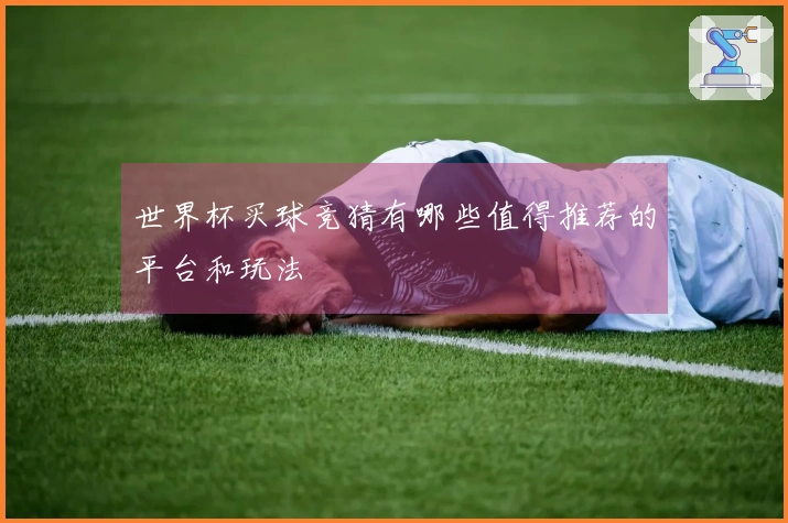 世界杯买球竞猜有哪些值得推荐的平台和玩法