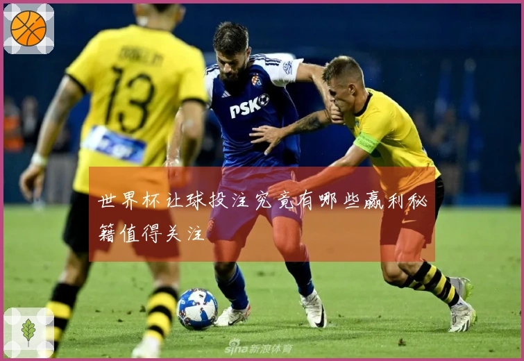 世界杯让球投注究竟有哪些赢利秘籍值得关注
