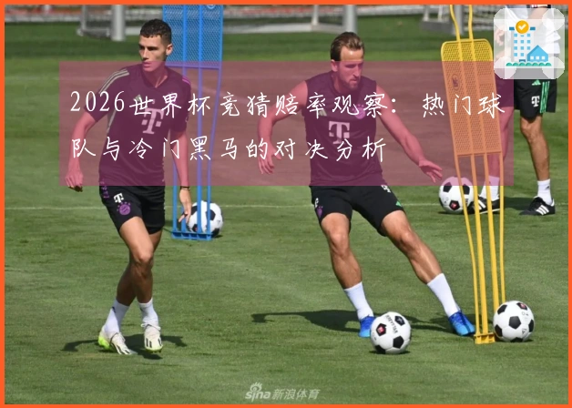 2026世界杯竞猜赔率观察：热门球队与冷门黑马的对决分析