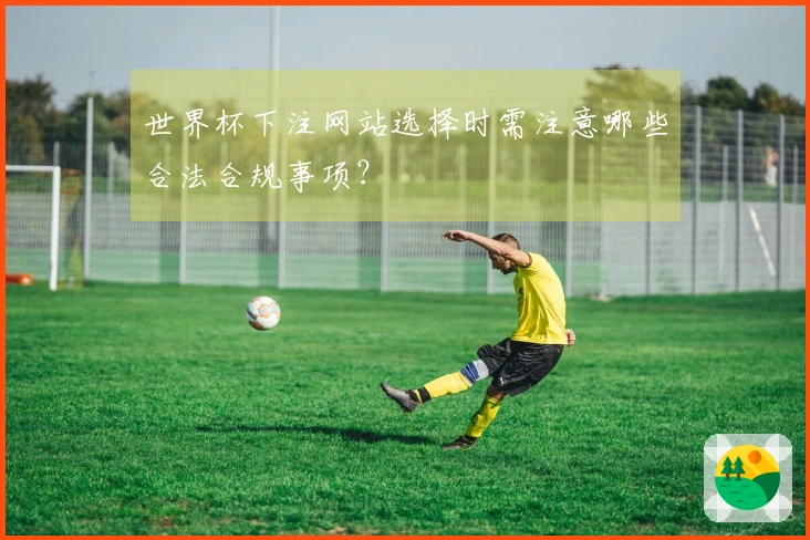 世界杯下注网站选择时需注意哪些合法合规事项？