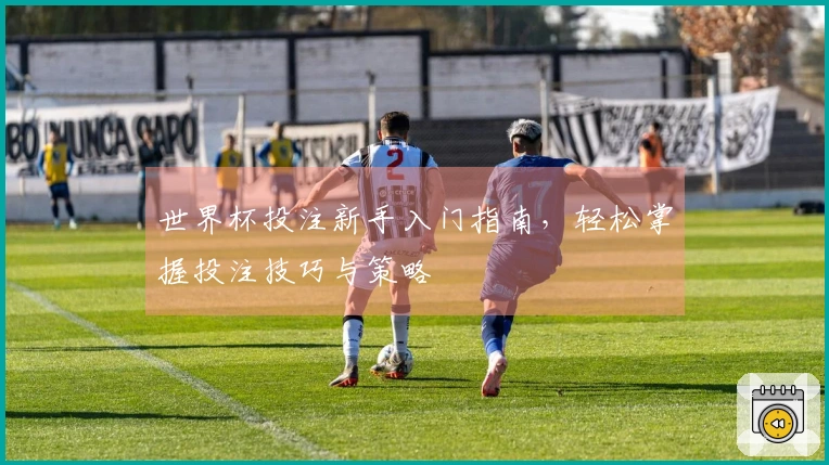 世界杯投注新手入门指南，轻松掌握投注技巧与策略