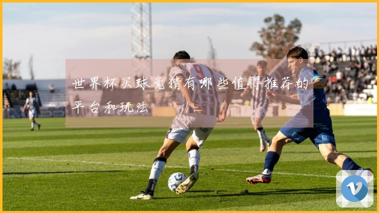世界杯买球竞猜有哪些值得推荐的平台和玩法