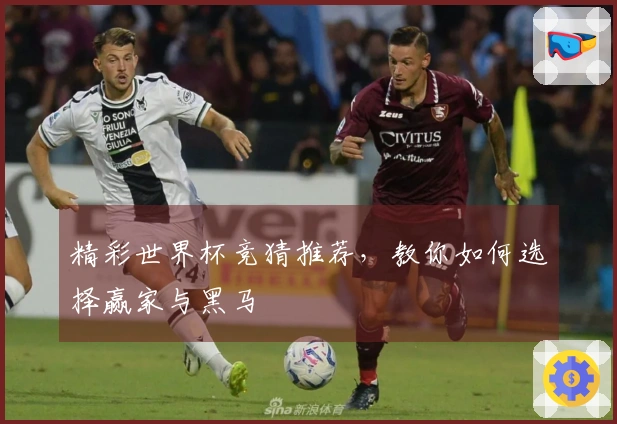 精彩世界杯竞猜推荐，教你如何选择赢家与黑马