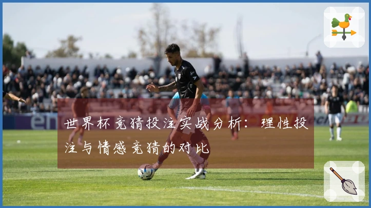 世界杯竞猜投注实战分析：理性投注与情感竞猜的对比