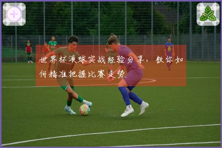 世界杯滚球实战经验分享，教你如何精准把握比赛走势