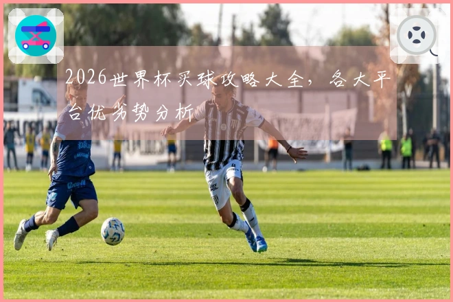 2026世界杯买球攻略大全，各大平台优劣势分析