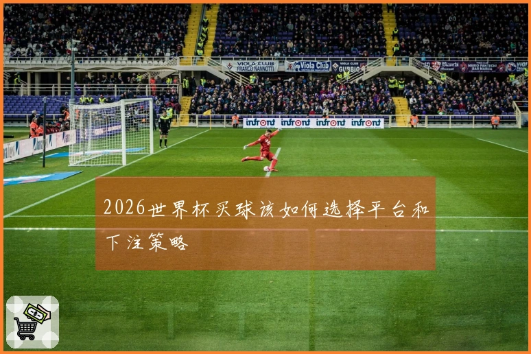 2026世界杯买球该如何选择平台和下注策略